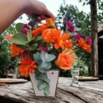Cartera de 6 Rosas en tono pastel con Margaritas y Violetas -Regalo Único