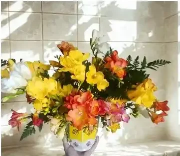 Estilo Exploción de Fresias