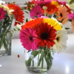 Centro de mesa con Gerberas-Foco de Luz