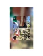 Media docena de claveles más Peluche Te amo - Imagen 2