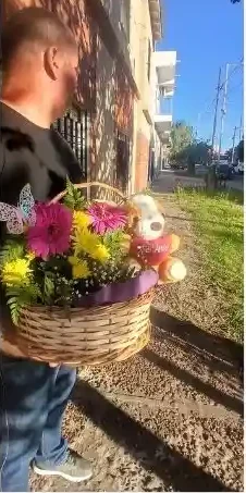 Canasta de Gerberas y Peluche "Te Quiero"-Regalo Perfecto