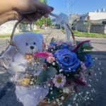 Canasta de Bienvenida : Especial para Nacimiento y Baby Shower -Ferrero de 3 - Peluche