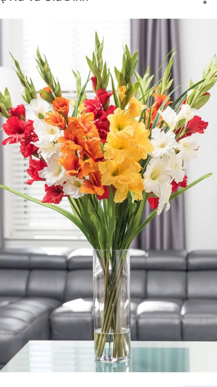 centro de mesa gladiolos Gladiolos en Estructura Vertical - Imagen 1